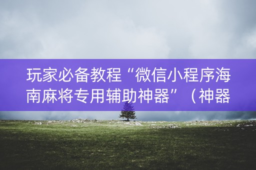 玩家必备教程“微信小程序海南麻将专用辅助神器”（神器通用版)