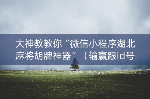 大神教教你“微信小程序湖北麻将胡牌神器”（输赢跟id号有关系吗)