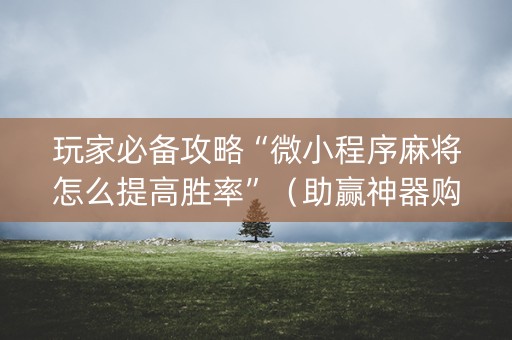 玩家必备攻略“微小程序麻将怎么提高胜率”（助赢神器购买)