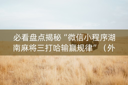 必看盘点揭秘“微信小程序湖南麻将三打哈输赢规律”（外辅工具)