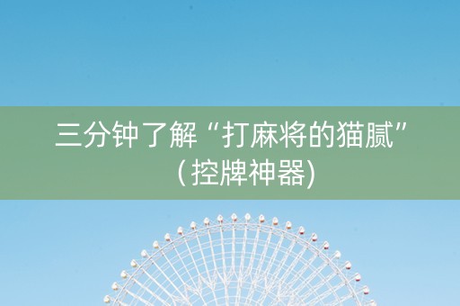 三分钟了解“打麻将的猫腻”（控牌神器)