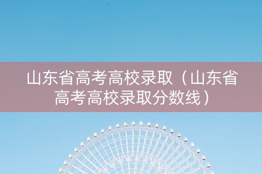 山东省高考高校录取（山东省高考高校录取分数线）