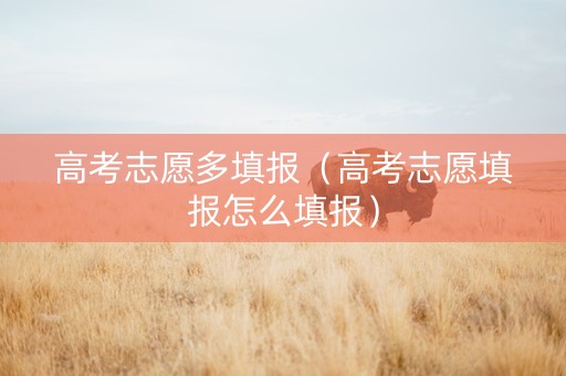 高考志愿多填报（高考志愿填报怎么填报）