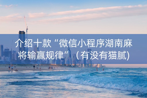 介绍十款“微信小程序湖南麻将输赢规律”（有没有猫腻)