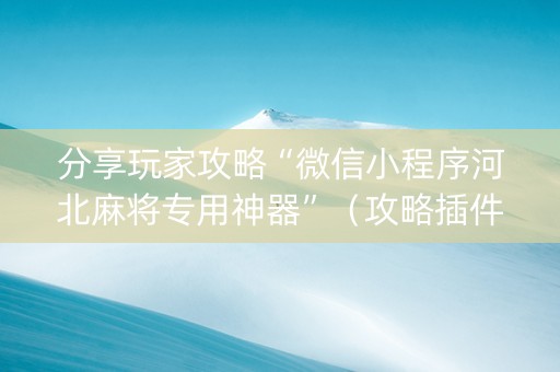 分享玩家攻略“微信小程序河北麻将专用神器”（攻略插件)