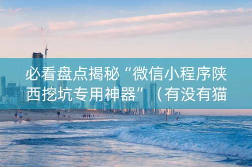 必看盘点揭秘“微信小程序陕西挖坑专用神器”（有没有猫腻)