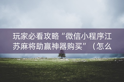 玩家必看攻略“微信小程序江苏麻将助赢神器购买”（怎么设置能有好牌)
