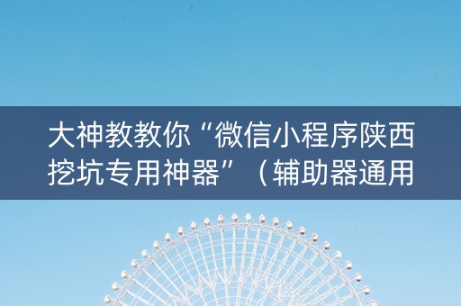 大神教教你“微信小程序陕西挖坑专用神器”（辅助器通用版)