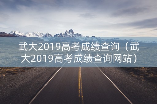 武大2019高考成绩查询（武大2019高考成绩查询网站）