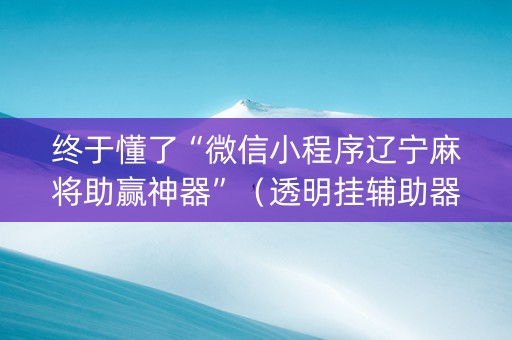 终于懂了“微信小程序辽宁麻将助赢神器”（透明挂辅助器)