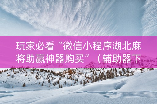 玩家必看“微信小程序湖北麻将助赢神器购买”（辅助器下载)