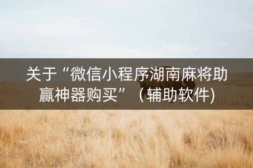 关于“微信小程序湖南麻将助赢神器购买”（辅助软件)