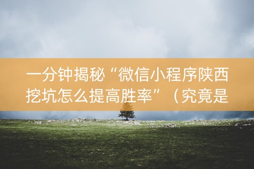 一分钟揭秘“微信小程序陕西挖坑怎么提高胜率”（究竟是不是有挂)