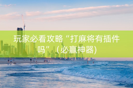 玩家必看攻略“打麻将有插件吗”（必赢神器)