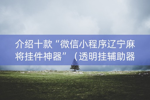 介绍十款“微信小程序辽宁麻将挂件神器”（透明挂辅助器)