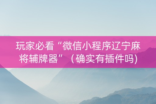 玩家必看“微信小程序辽宁麻将辅牌器”（确实有插件吗)