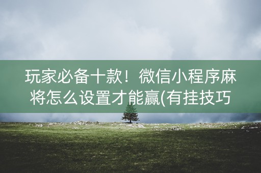 玩家必备十款！微信小程序麻将怎么设置才能赢(有挂技巧辅助器)