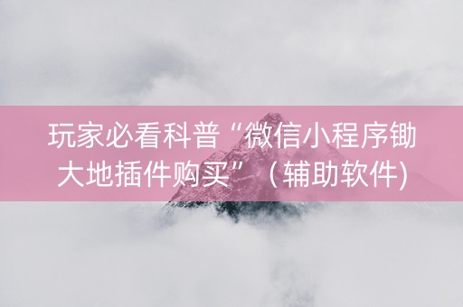 玩家必看科普“微信小程序锄大地插件购买”（辅助软件)