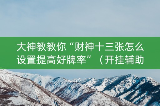 大神教教你“财神十三张怎么设置提高好牌率”（开挂辅助器插件)