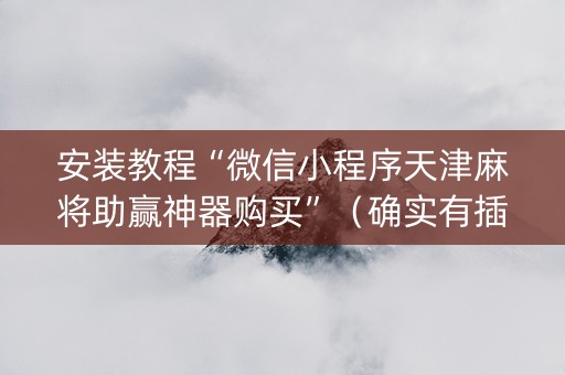 安装教程“微信小程序天津麻将助赢神器购买”（确实有插件吗)