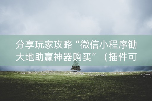 分享玩家攻略“微信小程序锄大地助赢神器购买”（插件可信吗)