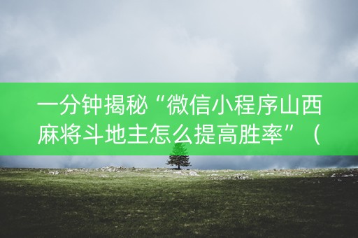 一分钟揭秘“微信小程序山西麻将斗地主怎么提高胜率”（开挂辅助插件)