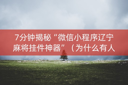 7分钟揭秘“微信小程序辽宁麻将挂件神器”（为什么有人一直赢)