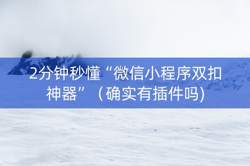 2分钟秒懂“微信小程序双扣神器”（确实有插件吗)