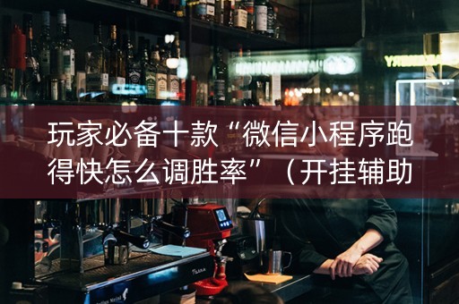 玩家必备十款“微信小程序跑得快怎么调胜率”（开挂辅助器脚本)