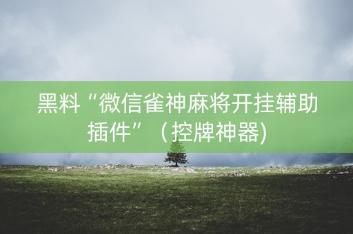 黑料“微信雀神麻将开挂辅助插件”（控牌神器)