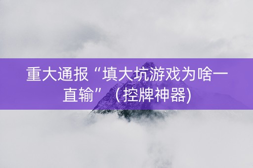重大通报“填大坑游戏为啥一直输”（控牌神器)
