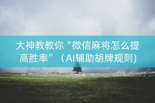 大神教教你“微信麻将怎么提高胜率”（AI辅助胡牌规则)