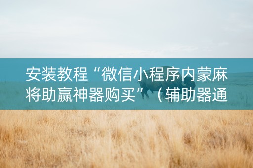 安装教程“微信小程序内蒙麻将助赢神器购买”（辅助器通用版)