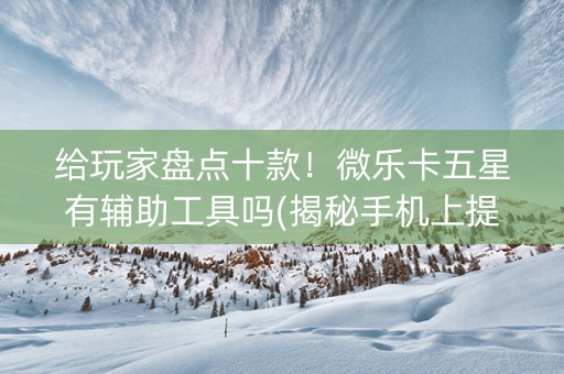 给玩家盘点十款！微乐卡五星有辅助工具吗(揭秘手机上提高胜率)
