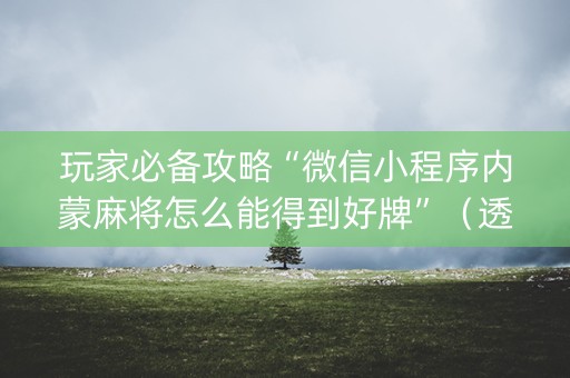 玩家必备攻略“微信小程序内蒙麻将怎么能得到好牌”（透明挂辅助器)