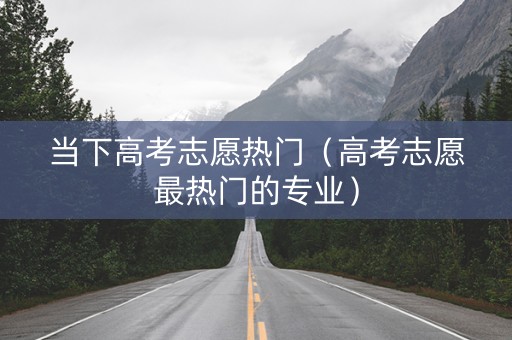 当下高考志愿热门（高考志愿最热门的专业）
