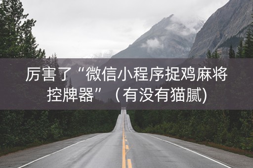 厉害了“微信小程序捉鸡麻将控牌器”（有没有猫腻)