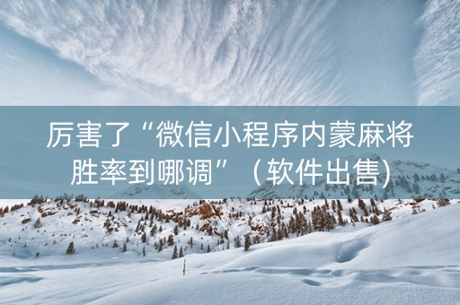 厉害了“微信小程序内蒙麻将胜率到哪调”（软件出售)