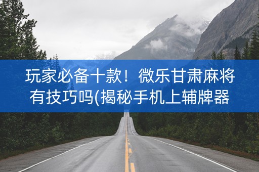 玩家必备十款！微乐甘肃麻将有技巧吗(揭秘手机上辅牌器)