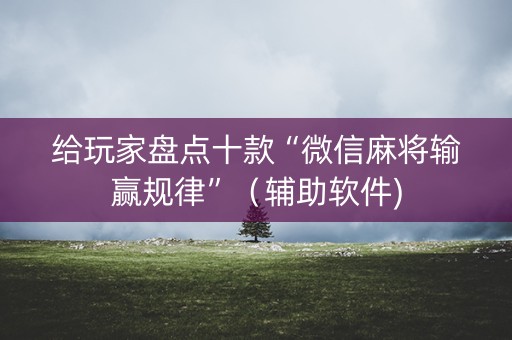给玩家盘点十款“微信麻将输赢规律”（辅助软件)