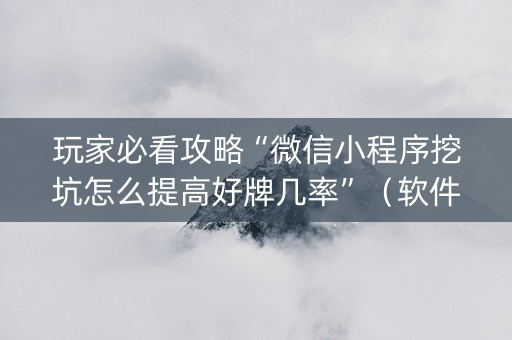 玩家必看攻略“微信小程序挖坑怎么提高好牌几率”（软件出售)