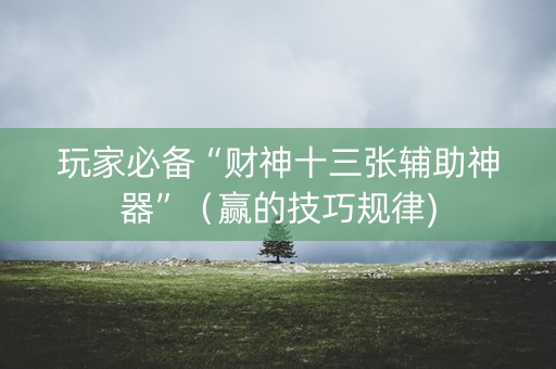 玩家必备“财神十三张辅助神器”（赢的技巧规律)