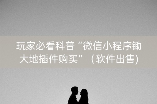 玩家必看科普“微信小程序锄大地插件购买”（软件出售)