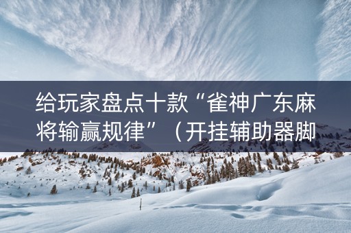 给玩家盘点十款“雀神广东麻将输赢规律”（开挂辅助器脚本)
