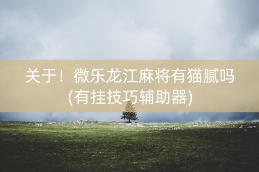 关于！微乐龙江麻将有猫腻吗(有挂技巧辅助器)