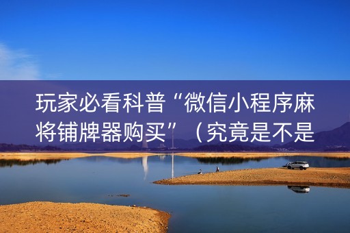 玩家必看科普“微信小程序麻将铺牌器购买”（究竟是不是有挂)