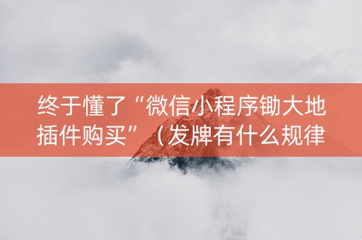 终于懂了“微信小程序锄大地插件购买”（发牌有什么规律吗)
