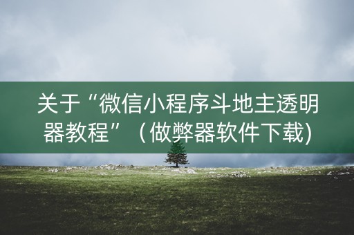 关于“微信小程序斗地主透明器教程”（做弊器软件下载)