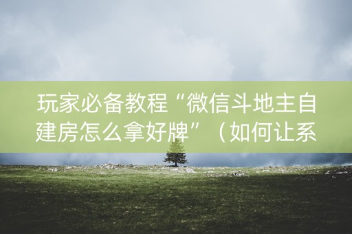 玩家必备教程“微信斗地主自建房怎么拿好牌”（如何让系统发好牌)