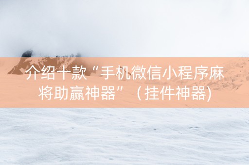 介绍十款“手机微信小程序麻将助赢神器”（挂件神器)
